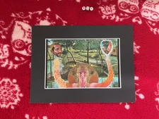 Rare Gorgeous art print  ,  , VINTAGE PRINT ICONIC Mounte By ABDUL MATI KLARWEIN