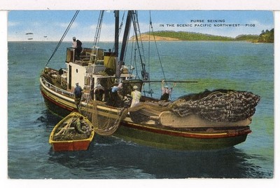 1948 - Purse Seining in the Scenic Pacific Northwest off Whidbey Is. WA Postcard