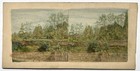 Paysage Photo c1860 Stereo Vintage Albumine coloriée à la main Artistique