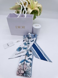 Christian Dior Butterfly | eBay