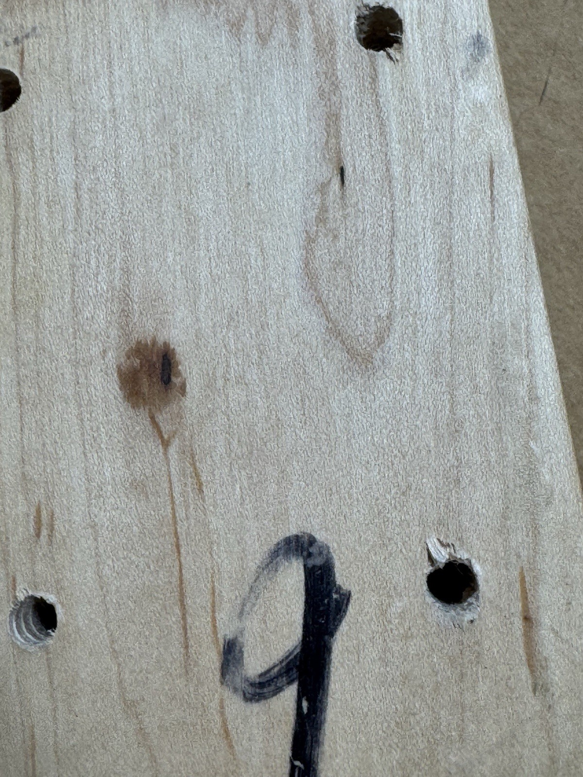 Bild 8 von 16