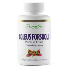 Coleus Forskolii Premium Extract 60 Veg Capsules EXP 12/2026