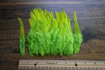 100 Loose Dyed Neck Feathers, Saltwater Hackle,   U CHOOSE COLOR