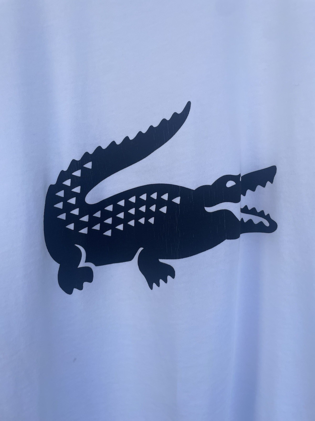 Lacoste Teens White Shirt Size 16 Year Old 100% Cotton Short Sleeve thumbnail 5