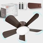 Socket Fan Light Ceiling Fans with Lights and Remote 17in with 6-Speeds