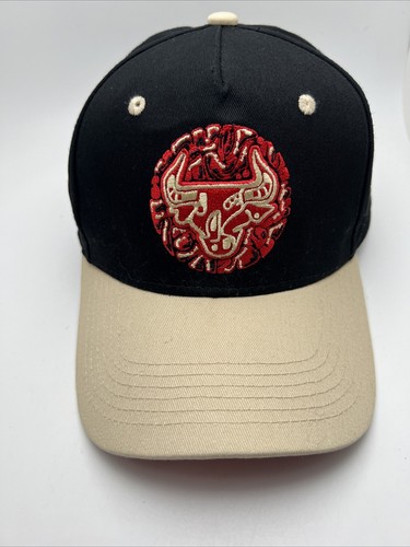 Chicago Bulls SGA Giveaway Artist Series Snapback Hat Walker TKL Art NBA Cap G58 - 第 1/6 張圖片