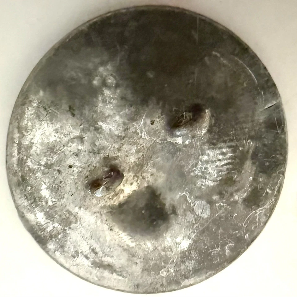 Large Antique Pewter Grape/Grape Vine Metal Picture Button - Image 2 of 2