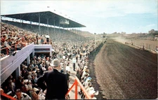 Postcard CAN AB The Races at the Calgary Stampede