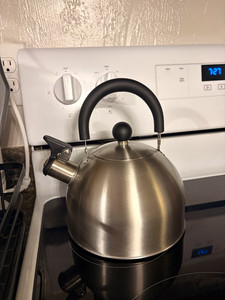 Stainless Steel Stove Top Tea Kettle, Silver, Black Ergonomic Handle