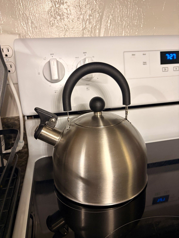 Stainless Steel Stove Top Tea Kettle, Silver, Black Ergonomic Handle