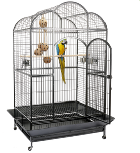 parrot cages ebay