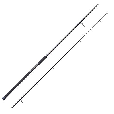 TENRYU Spinnrute POWER MASTER PM1002S-HP