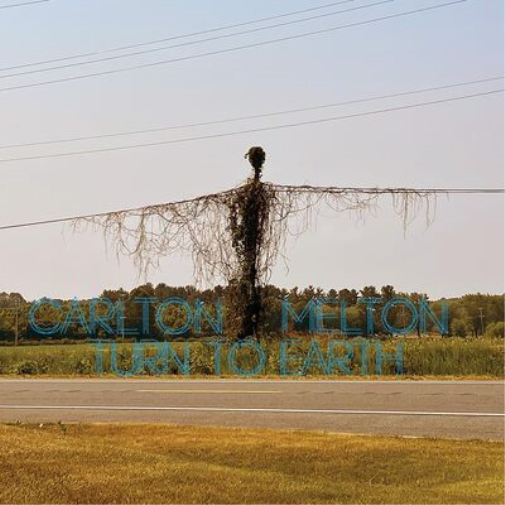 Carlton Melton Turn to Earth (CD) Album