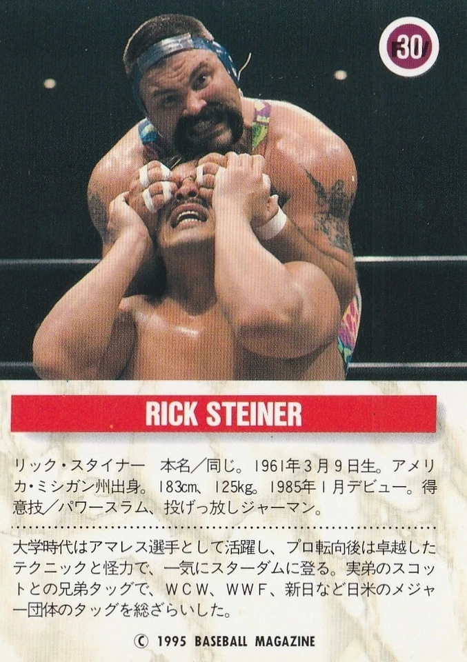 Rick Steiner 1995 BBM Pro Wrestling #30 - Image 2 of 2