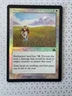 Flowering Field FOIL Prophecy White Uncommon MAGIC MTG MP