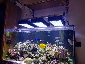 165W-WiFi-luz-led-de-acuario-peces-tanque-de-espectro-completo-actualizado-Regulable-Lampara-De