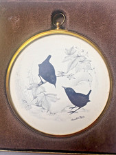 PETER BATES WRENS IN SILHOUTTE - FROM WILDLIFE STUDIES BY MARCELLE SHEARS