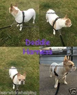 Anti Non Pull Training Harness Doddle Dog Puppy Dog Half Check * Front control