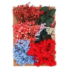 Pressed Flowers Bulk Dried Flowers Natural Pressed Flowers Leaves Multicolored