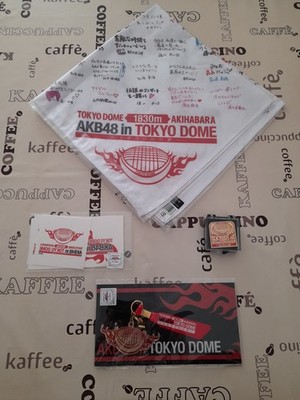 AKB48 in TOKYO DOME 1830m no Yume Fanartikel Bandana / Sticker  / Pin / Anhänger