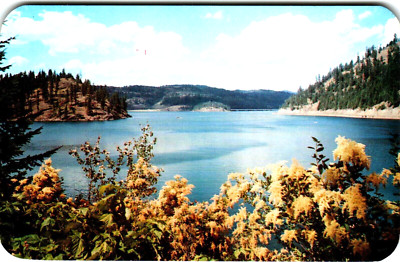 Postcard ID Lake Coeur D'Alene Beauty Bay Ocean Spray Thimble Berry Panoramic