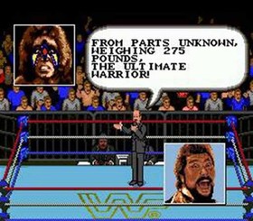 WWF Super Wrestlemania - Sega Genesis Game Only