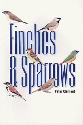Finches and Sparrows : An Identification Guide Paperback Peter Cl