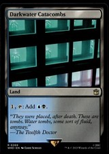 Darkwater Catacombs 269 MTG Dr Who Magic Gathering NM X1
