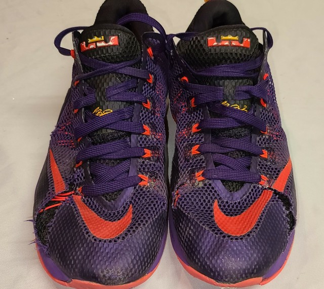 lebron 12 low court purple