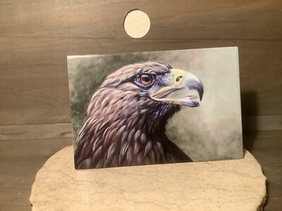 ACK DECORATIVE ART TILE NEW HAND PAINTED BEAUTIFUL EAGLE 8'' X 12'' GREAT GIFT
