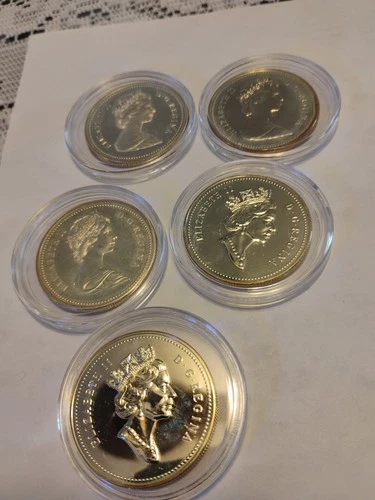 lot of 5 canadian silver dollar Fine Silver