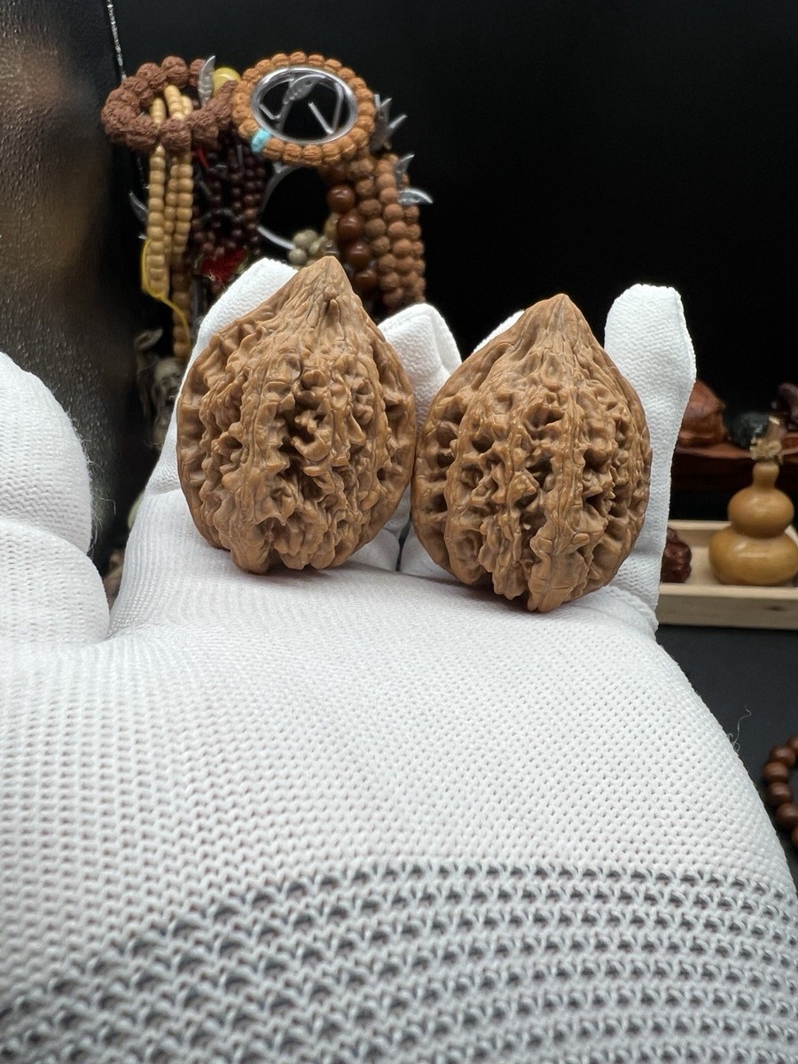 极品大沽石 核桃 文玩クルミ 极品大沽石 核桃 文玩クルミ