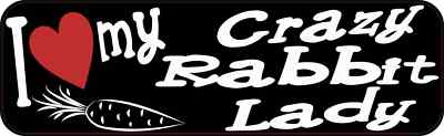 10x3 I Love My Crazy Rabbit Lady Bumper Sticker Vinyl Window Decal Sign Stickers