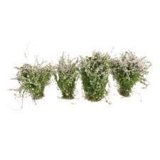 4x 2,56 Zoll/6,5 cm Bodendecker Blumenmodell wei&szlig; f&uuml;r Diorama Landschaft Requisite