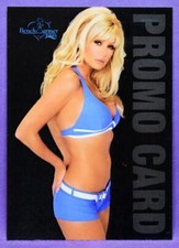 BenchWarmer 2005 Series Brande Roderick Promotional Sample Promo Card #1