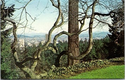 Japanese Garden Portland Oregon Postcard Dexter Press Unposted Mt Hood View