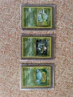 Venusaur, Ivysaur, Bulbasaur Pokemon base set 1999 1st edition holo portuguese