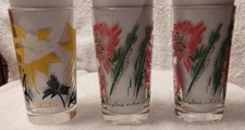 Vintage Boscul Flower Drinking Glass - Fairyland Orchid Cactus, Columbine Choice