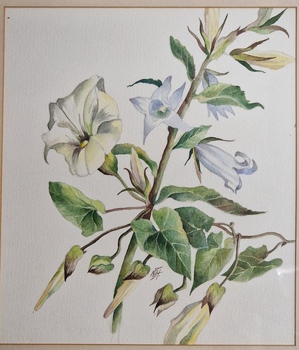 Vintage Original Botanical Watercolour Wildflowers & Convolvulus, Monogrammed (photo 2)