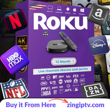 Ryobi ONE HP Brushless Cordless Pet Stick Vacuum Cleaner