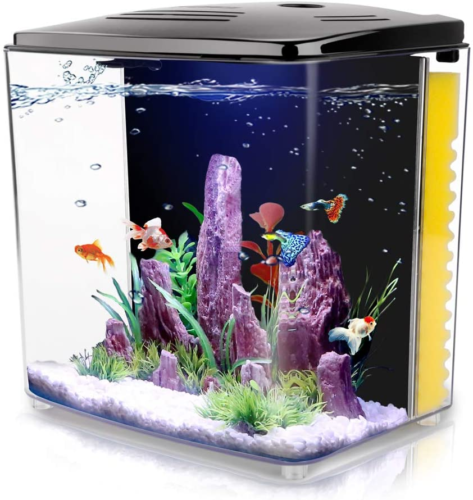 Kits de démarrage d'aquarium Betta 1,2 gallon aquarium aquarium carré avec lumière et filtre DEL - Photo 1/7