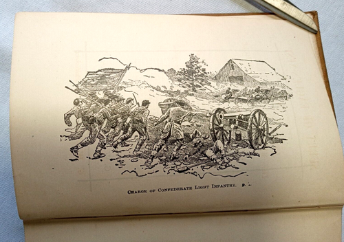 Surry of Adlernest von John Esten Cooke (Hardcover, 1894) - Bild 8 von 11
