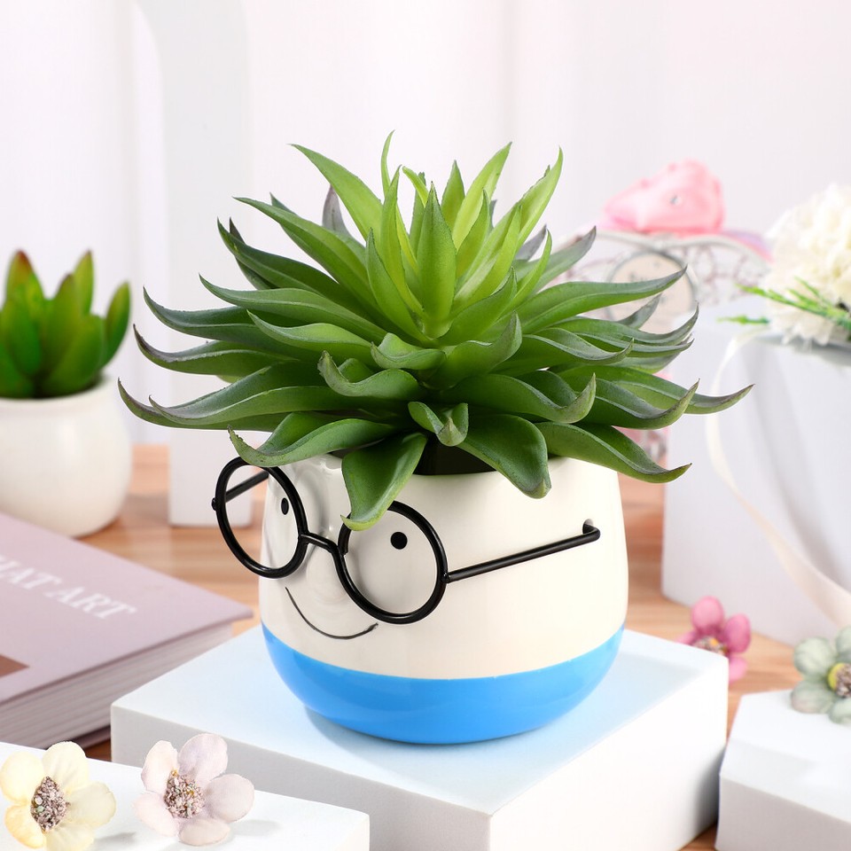 Flowerpot Plant Decorative Face Planters for Indoor Plants Pots House