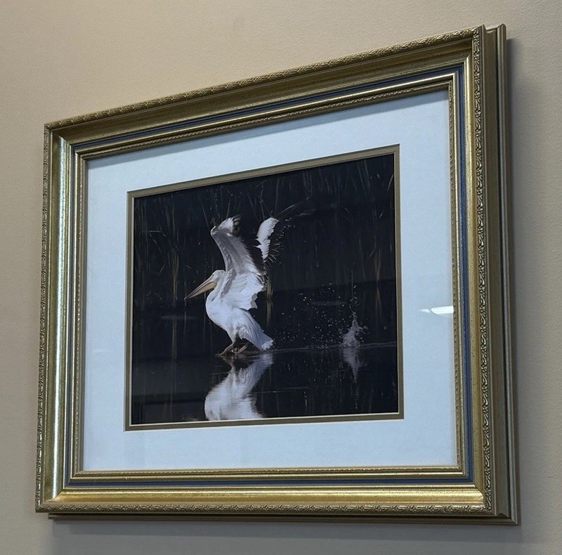 Lee Metcalf MT Pelican | By August Payton | 11x14in print only
