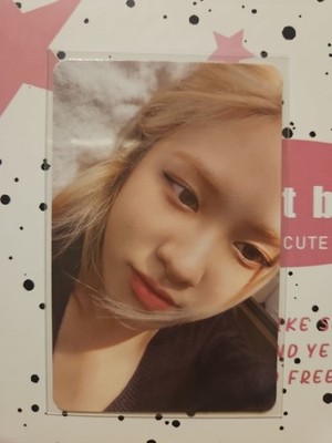 Blackpink Rose Born Pink Offical Photocard