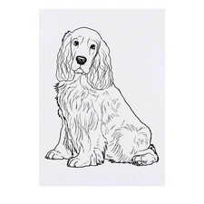 'Cocker Spaniel' Temporary Tattoos / Transfers TO00042508