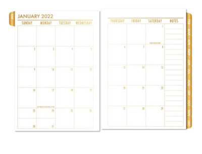 2026 FITS Louis Vuitton GM Large Agenda Tabbed Refill + Insert