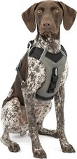 Kurgo Dog Harness for Large, & Small Active Dogs, Pet Hiking Harness for Running