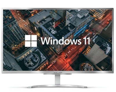 All-in-One office computer Cepter A4300x 24'' FHD Core i5 8GB/1TB Win11 (W) (U)