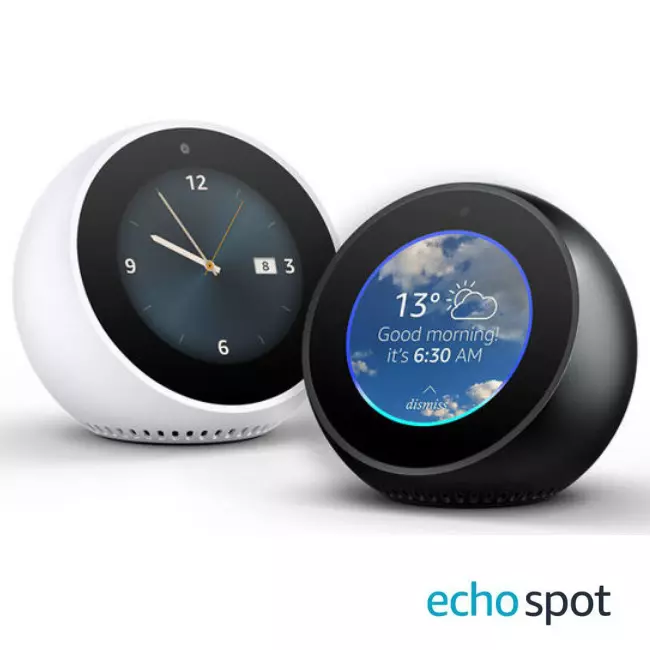 Diy echo on sale spot